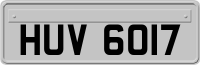 HUV6017