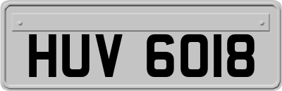 HUV6018