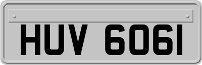 HUV6061