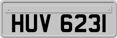 HUV6231