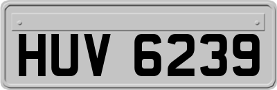 HUV6239