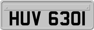 HUV6301