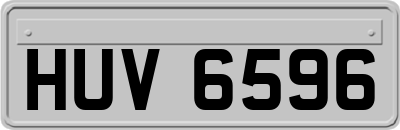 HUV6596