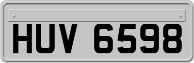 HUV6598