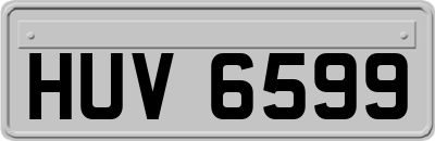 HUV6599