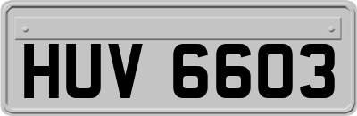 HUV6603