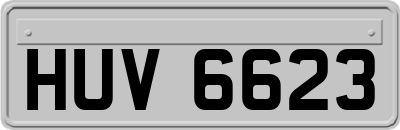 HUV6623