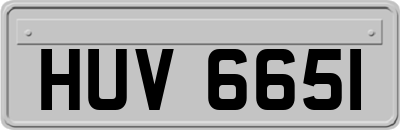 HUV6651