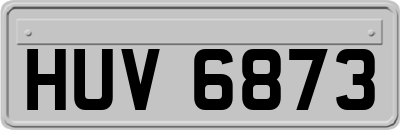 HUV6873