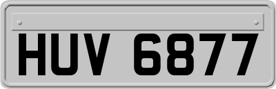 HUV6877