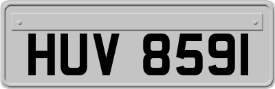 HUV8591