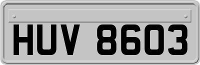 HUV8603