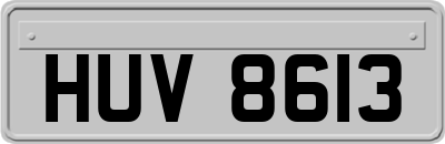 HUV8613