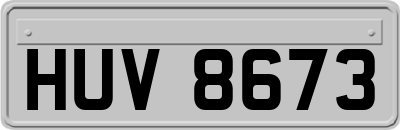 HUV8673