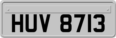 HUV8713