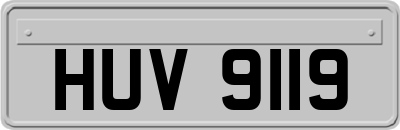 HUV9119