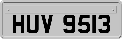 HUV9513