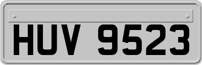 HUV9523