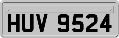 HUV9524