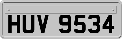 HUV9534