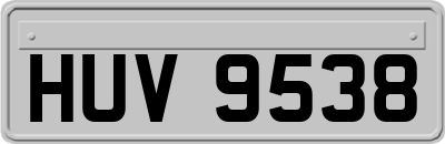 HUV9538