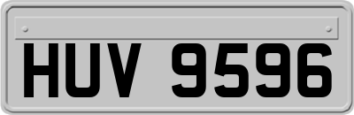 HUV9596