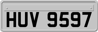 HUV9597