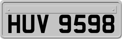 HUV9598