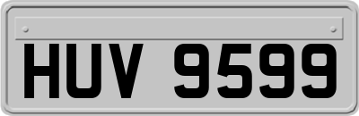 HUV9599