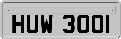 HUW3001