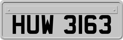 HUW3163