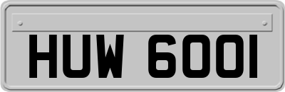 HUW6001