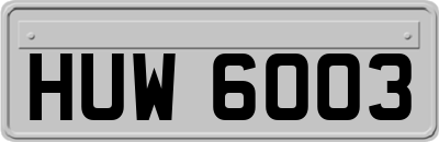 HUW6003