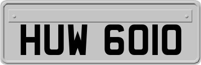 HUW6010