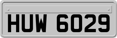 HUW6029