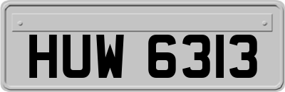 HUW6313