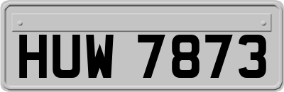 HUW7873