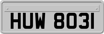 HUW8031