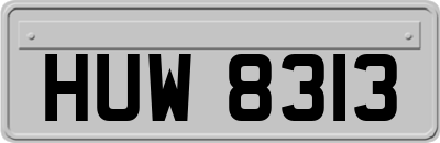 HUW8313