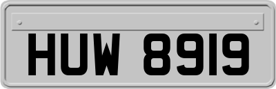 HUW8919