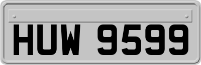 HUW9599