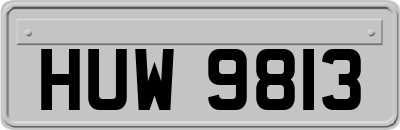HUW9813