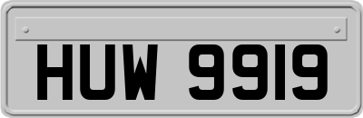 HUW9919