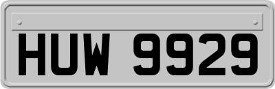 HUW9929