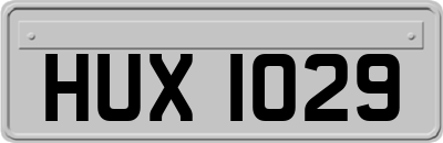 HUX1029