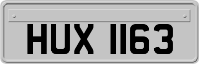 HUX1163