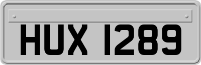 HUX1289