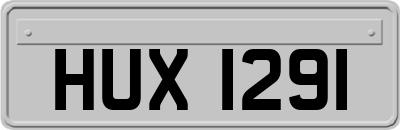 HUX1291