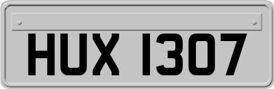 HUX1307