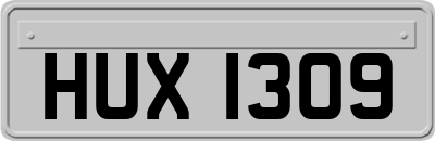 HUX1309